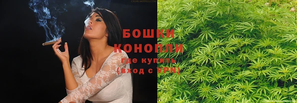 молекула духа Аркадак