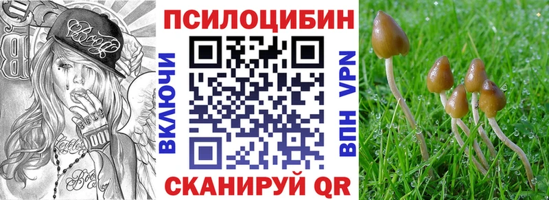 Псилоцибиновые грибы MAGIC MUSHROOMS  Ростов 